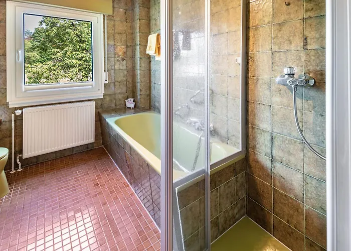 Wildbiene Bis 4 Pers * Freiensteinau